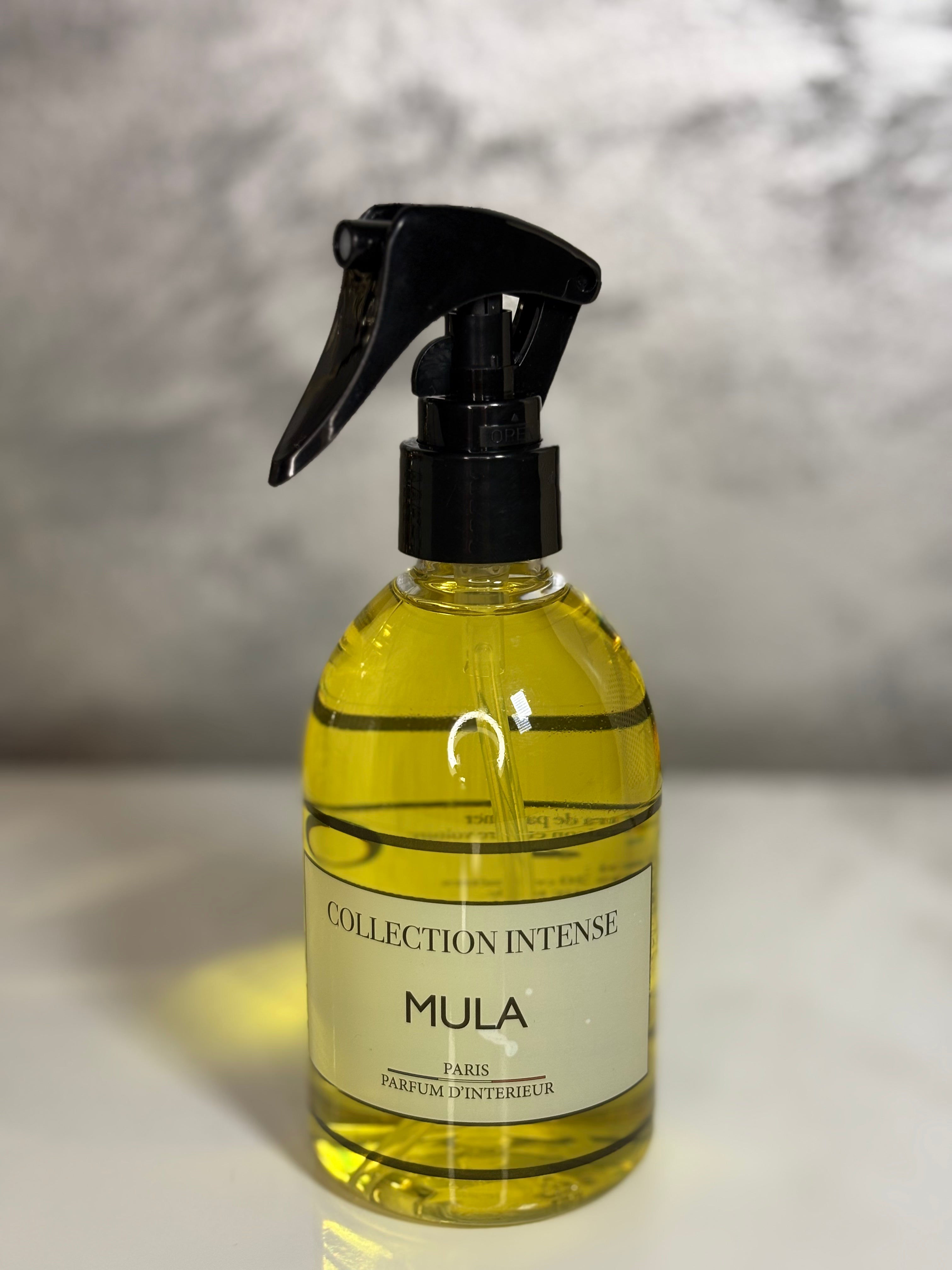 EXKLUSIVE DÜFTE FÜR RAUM & INTERIOR 250ml